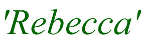 'Rebecca'